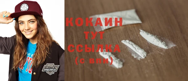 дмт Горняк