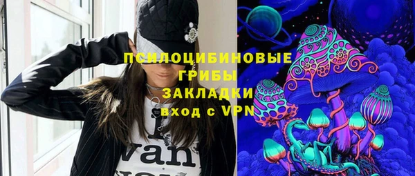 дмт Горняк