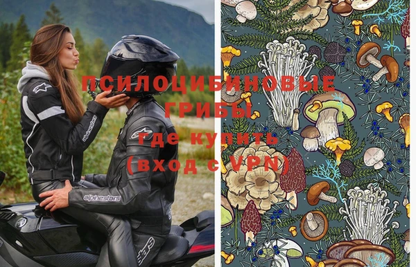 дмт Горняк