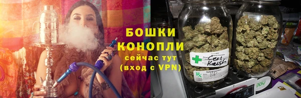ALPHA PVP Горнозаводск